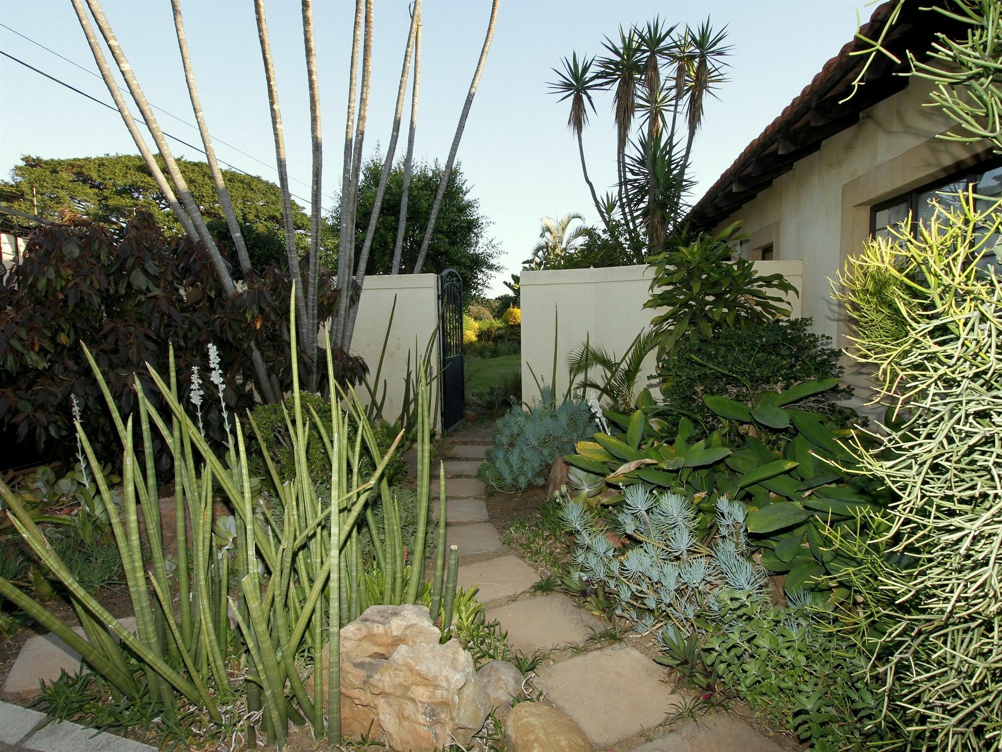 ホテル Casa Ridge Self-Catering ダーバン エクステリア 写真